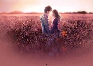 等不到你的晚安