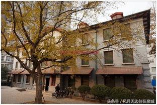 老医馆,传统中医文化的传承与魅力