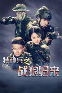 战狼之父亲归来,铁血英雄的亲情救赎之旅