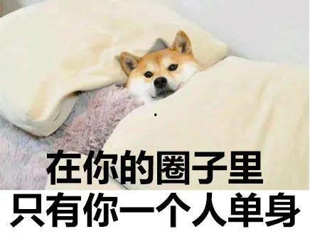 万人嫌千金掉马后，全家悔不当初,万人嫌的逆袭之路