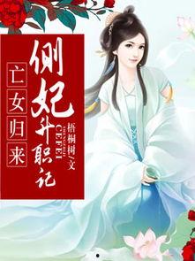 娇娇侧妃升职记,宫廷升职记的逆袭之路